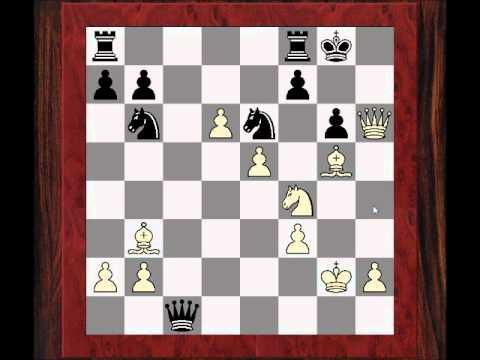 David Bronstein vs Ljubojevic - Potentially losing Opening Trumps - Alekhine's Defense