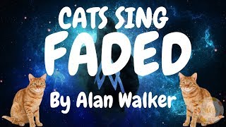 Cats Sing Faded by Alan Walker  | Cats Singing Song