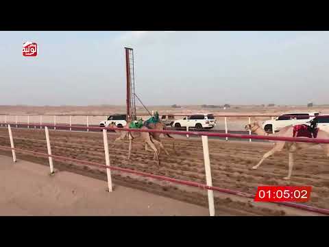  ش 4 (المديحي) لـ حمد سالم بن ثعلوب الدرعي 3:05:03 ، شارة الصندوق 2026/08/14 فطامين الرقيعات