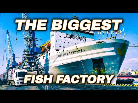 World's LARGEST Floating Fish Processing Vessel // Episode 2