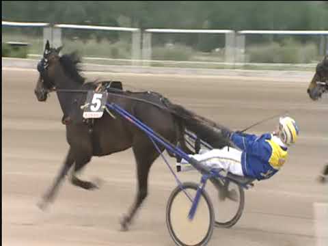 Trotto 29/04/2019 - 2ª corsa