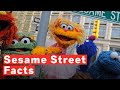 Sesame Street 7 Things You Didn T Know