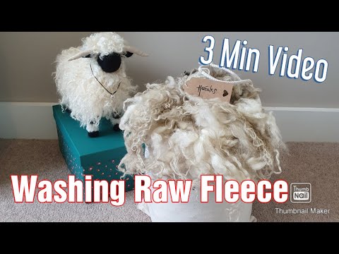 Washing a Raw Wool Fleece - Quick Guide - 3 Minute Video