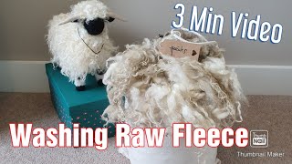Washing a Raw Wool Fleece - Quick Guide - 3 Minute Video