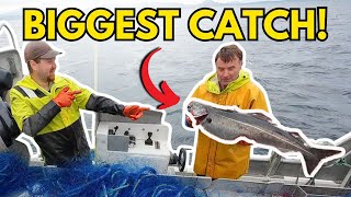First Saithe Trip in 10 Months: Huge Surprise in the Nets! (#2)