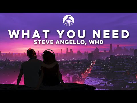 Steve Angello, Wh0 - What You Need