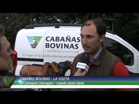 Cabañasbovinas.com - Visita a Cabaña Santa María de Ciancaglini - Leo ciancaglini