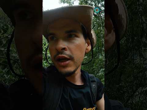 Prepare-se para se maravilhar com paisagens deslumbrantes e atrações naturais imperdíveis.