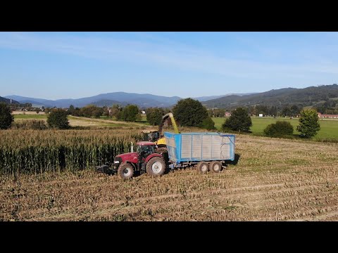 Sezóna 2019 / Season 2019