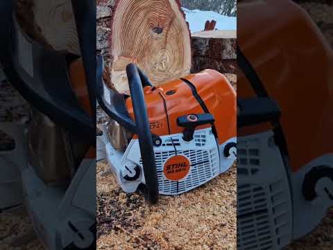 Stihl 661 C. The sound of a good investment. First cut.