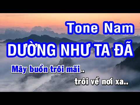 Karaoke Dường Như Ta Đã Tone Nam | Nhan KTV