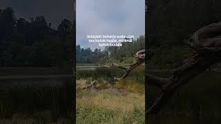 Download lagu Kerjo kerjo senajan bayaranmu rasepiro penting kerjo ben ora dicocoti tonggo#tawangmangu #ranuregulo mp3