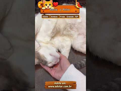 Vídeo de Marrie e Rafao