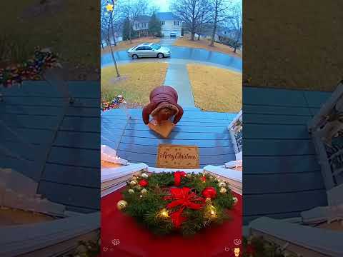 Porch exploding package box with glitter🏳️‍🌈✨🦄#porchpiratecaught #glitter #package #prank #usa