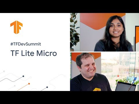 TensorFlow Lite for Microcontrollers (TF Dev Summit '20)