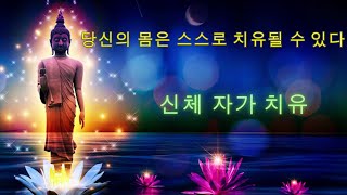 당신은 스스로 치유할 수 있습니다: 신체가 스스로 치유하는 10가지 규칙 | 불교사 | 젠의 역사