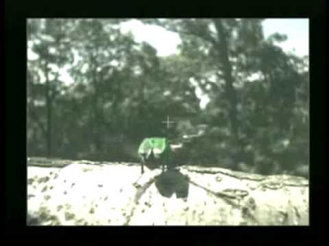 アオカナブンの飛翔