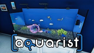 Aquarist - build aquariums, grow fish, develop your business! (PC) Steam Key GLOBAL