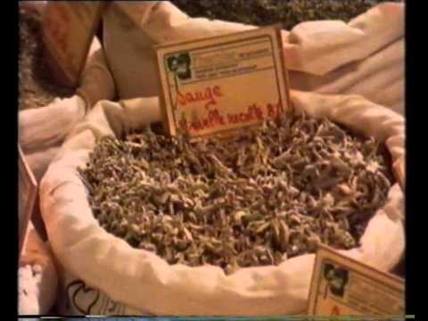 Herbs: Aromatic Influences - The Spice of Life - BBC production 1983