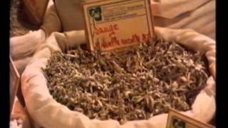 Herbs: Aromatic Influences - The Spice of Life - BBC production 1983