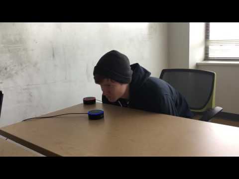 Reflex Alex Skill User Test