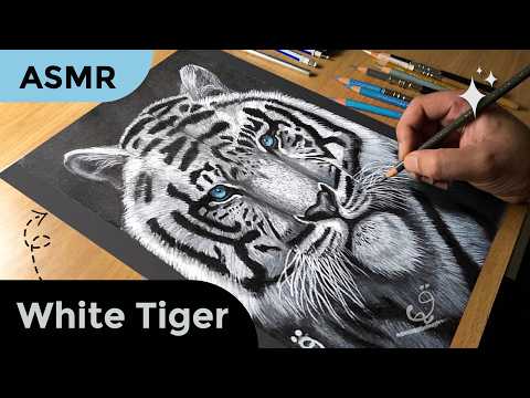 How to Draw Realistic Tiger Drawing [ ASMR ]