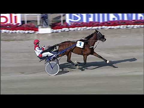 Napoli Trotto 10/02/2023 - 2ª prova di qualifica