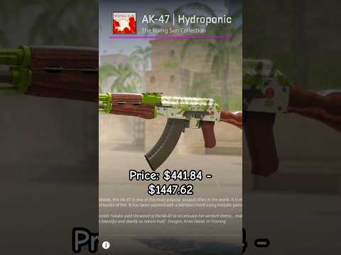 Top 5 AK-47 CS2 Skins Worth Buying! 🔥 #shorts