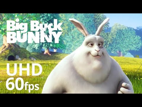 Big Buck Bunny 60fps 4k official Blender foundation Short film