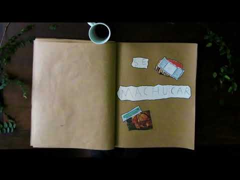 Janela - Conrad G. Fleck