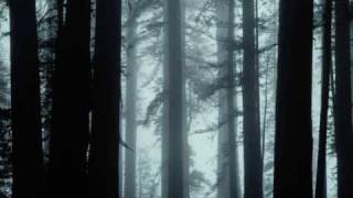 Forest Silence ~ Winter Circle Trailer ~ #DEMOS