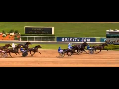 Prix De Washington 2013_Timoko 1:11,3_Jos Verbeeck