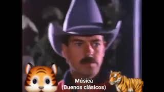 El hijo de Camelia los tigres del norte