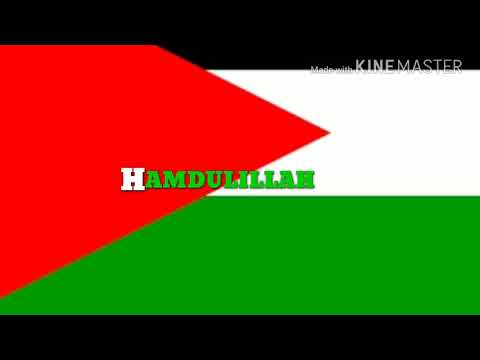 The_Narcicyst_feat._Shadia_Mansour-HAMDULILLAH-Ost fast-furious & save-palestine
