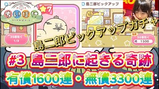 【ちいぽけ】#3 島二郎神引きなるか。続・島二郎ピックアップガチャ。有償無償3300連、有償1600連ガチャで挑む。