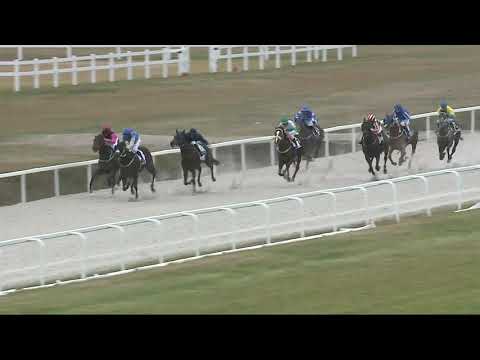 2021.11.28. 01. futam - HAVANNA HENDIKEP (II.o.) (szintetikus pálya)