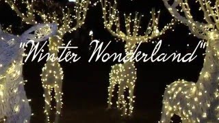 Winter Wonderland- cover (Spanish Version)