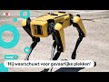 Robothond Spot voor het eerst in Nederland te zien