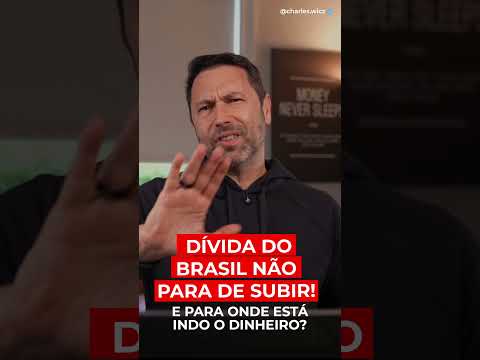 O BRASIL ESTÁ SE ENDIVIDANDO PARA NADA?