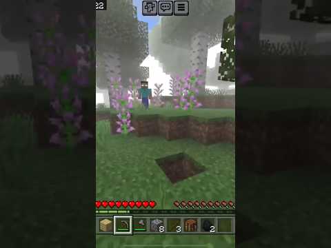 DolphinMasterMB - Herobrine is a scary dude! He is messing with my Minecraft worlds!