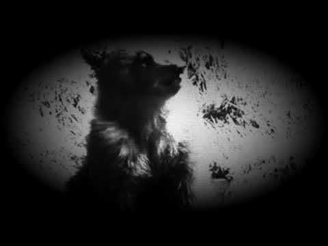 SzivilizS - Bärebluet ( Ursus Sanguine)