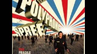 The Polyphonic Spree Sections 21 (Together We&#39;re Heavy) &amp; 22 (Running Away).WMV