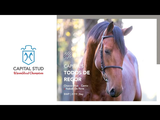 in Foal To: CAPITAL'S TODOS