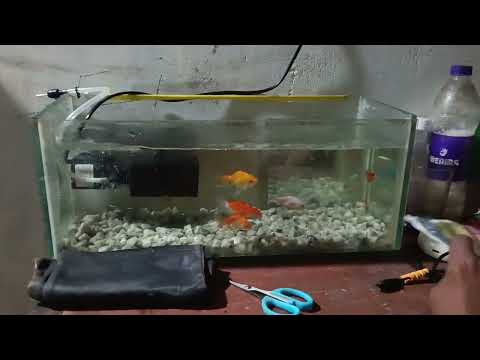 Mast #mast #video💞