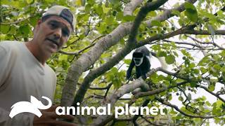 Thumbnail del capítulo