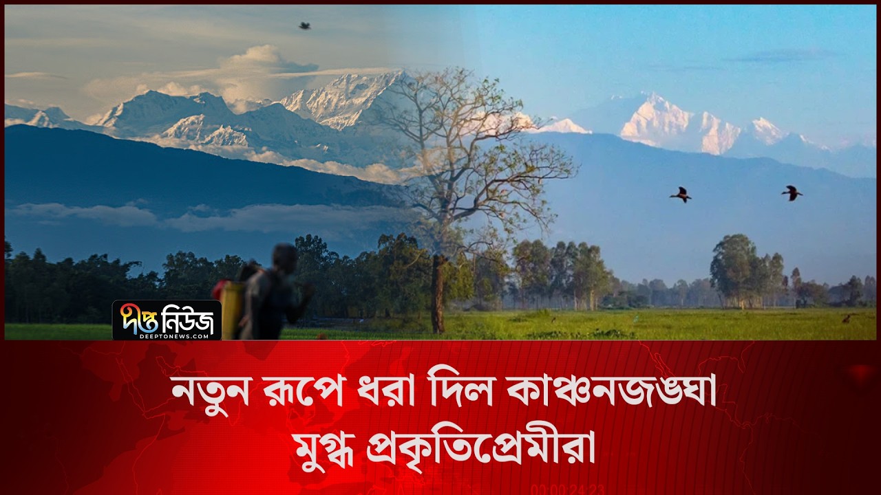 নতুন রূপে ধরা দিল কাঞ্চনজঙ্ঘা, মুগ্ধ প্রকৃতিপ্রেমীরা l Panchagarh l Kangchenjunga l Deepto News