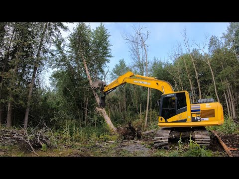 Fastest Way to Clear the Woods (20 Ton Excavator VS Forest)