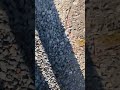 IMG 4076