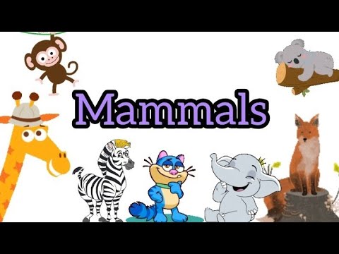 Learn Mammals with Pictures for Kids | Mammals in English | English Vocabulary for Kids