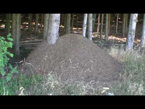Wandern auf dem Hochrhöner - Von Habel zum Lothar Mai Haus